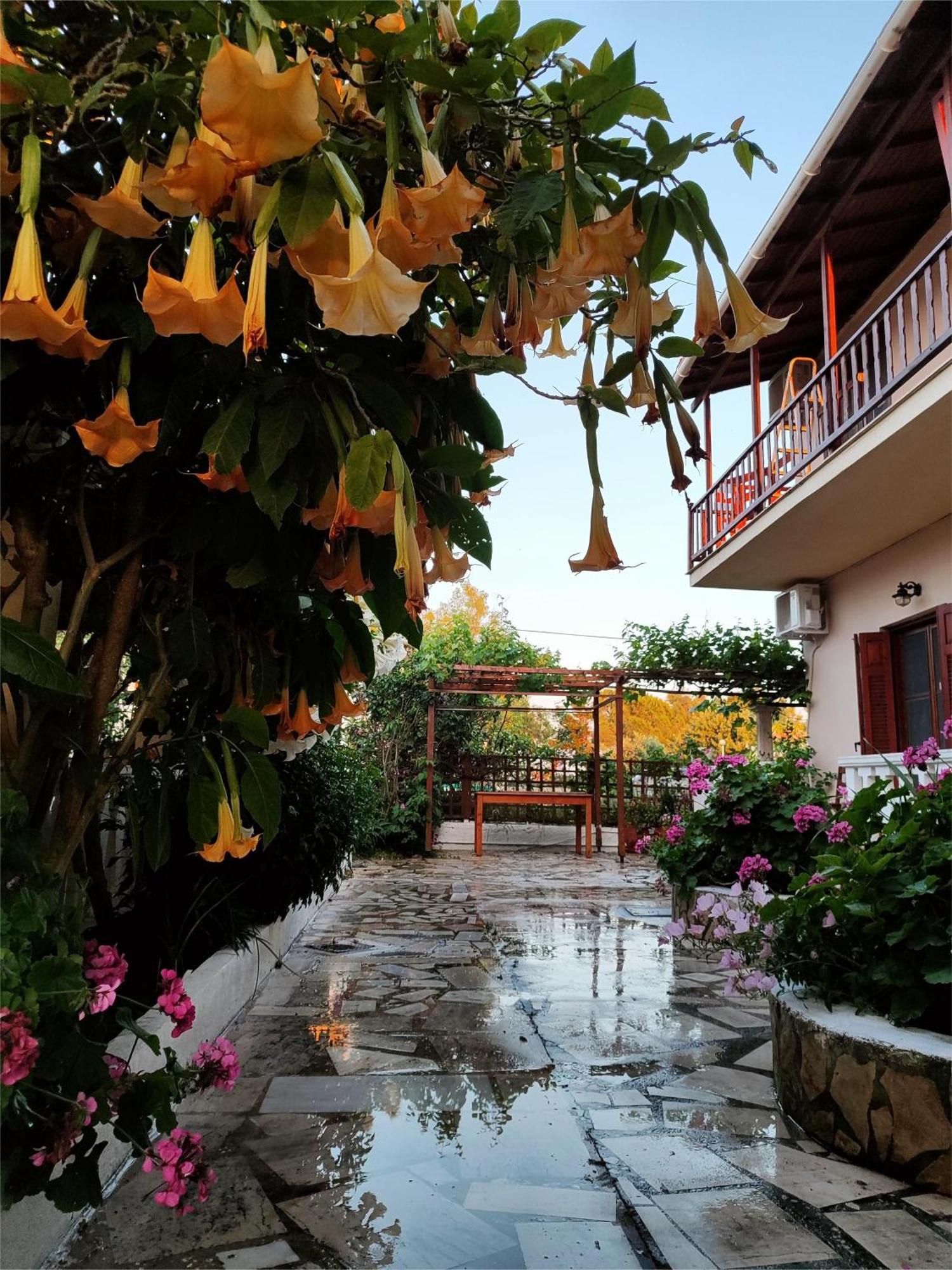 Ferienwohnung Electra'S Seaside Agios Georgios  Exterior foto